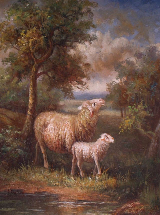 Ewe with Lamb By Creek Sheep