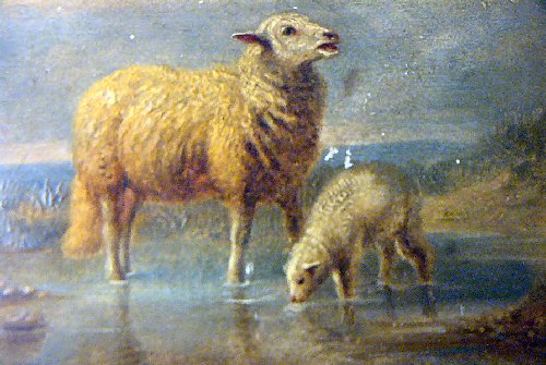 Ewe with Lamb Drinking Water