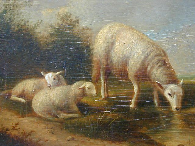 Ewe with Twins Drinking