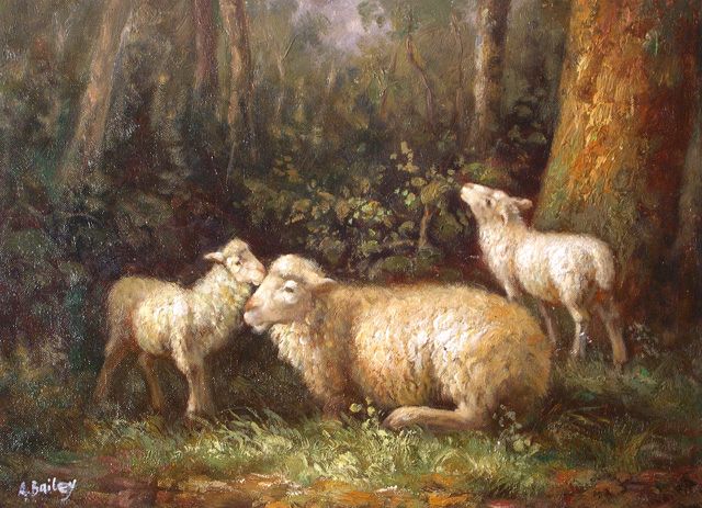Ewe with Twins in the Woods
