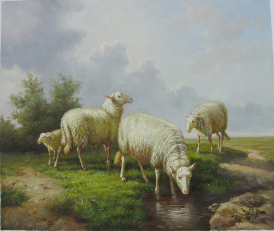 Ewes Lamb at Water