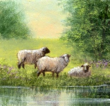 Ewes Relaxing By the Pond