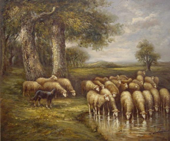 Ewes with Dog Drinking