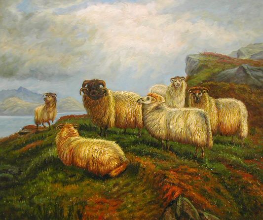 Ewes with Ram on Hill