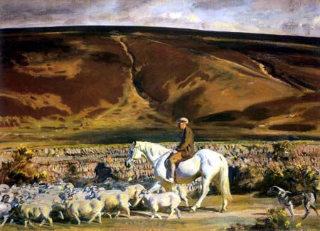 Exmoor Shepherd with Flock