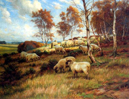 Fall Flock at Pasture