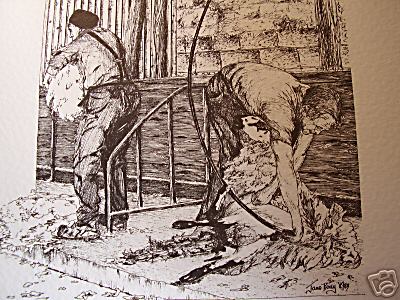 Farm Print Sheep Shearing