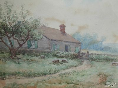 Farmhouse with Sheep