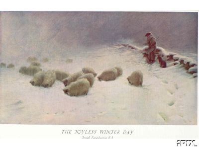 Farquharson Joyless Winter Day Sheep