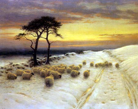 Farquson Sheep in Snow