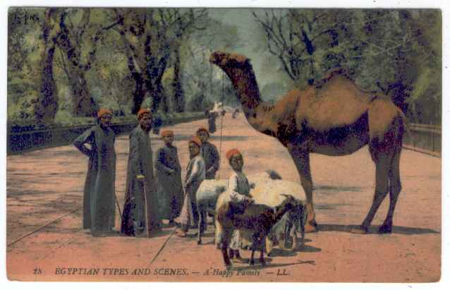 Father Sons Sheep Camel