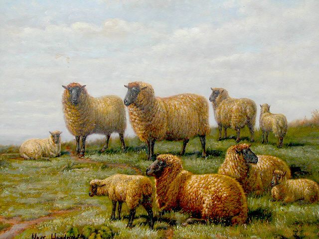 Flock in Pasture