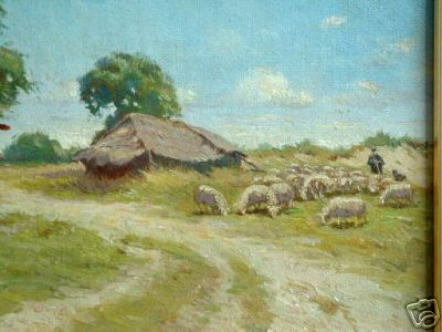 Flock of Dutch Sheep Near Shed
