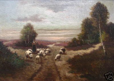 Flock of Sheep Graze in Holland