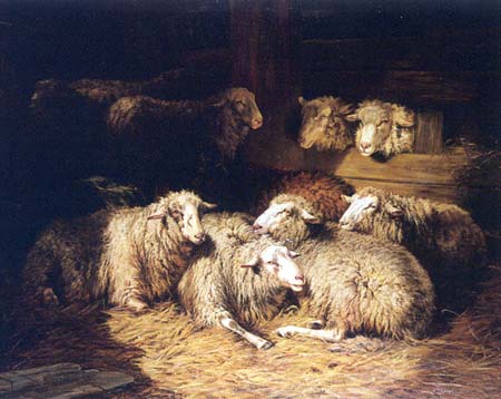 Flock of Sheep in a Byre