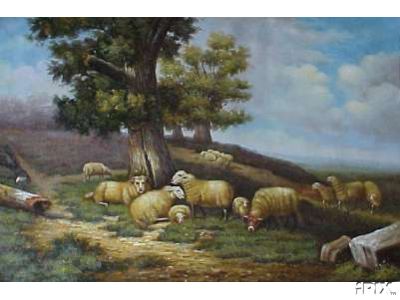 Flock of Sheep Resting1