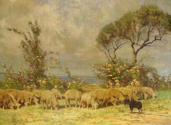 Flock of Sheep with Dog