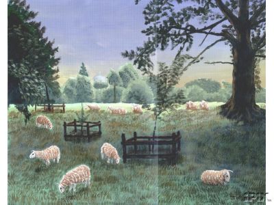 Folk Art Sheep
