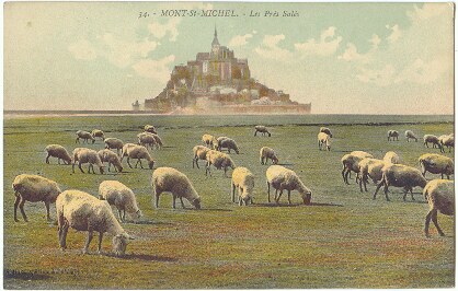 French Sheep Grazing