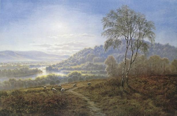 Gerald Coulson September Morning Sheep