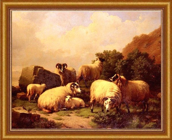 German Ewes with Lambs