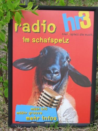 German Radio Ststion Sheep