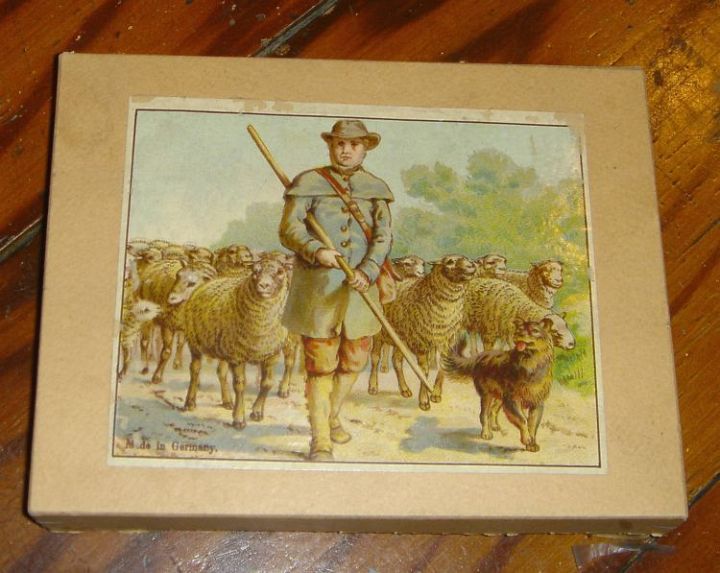 German Shepherd with Sheep