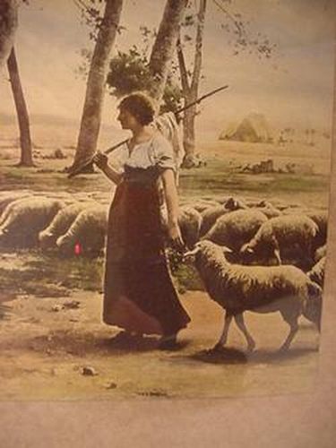 Girl with Sheep