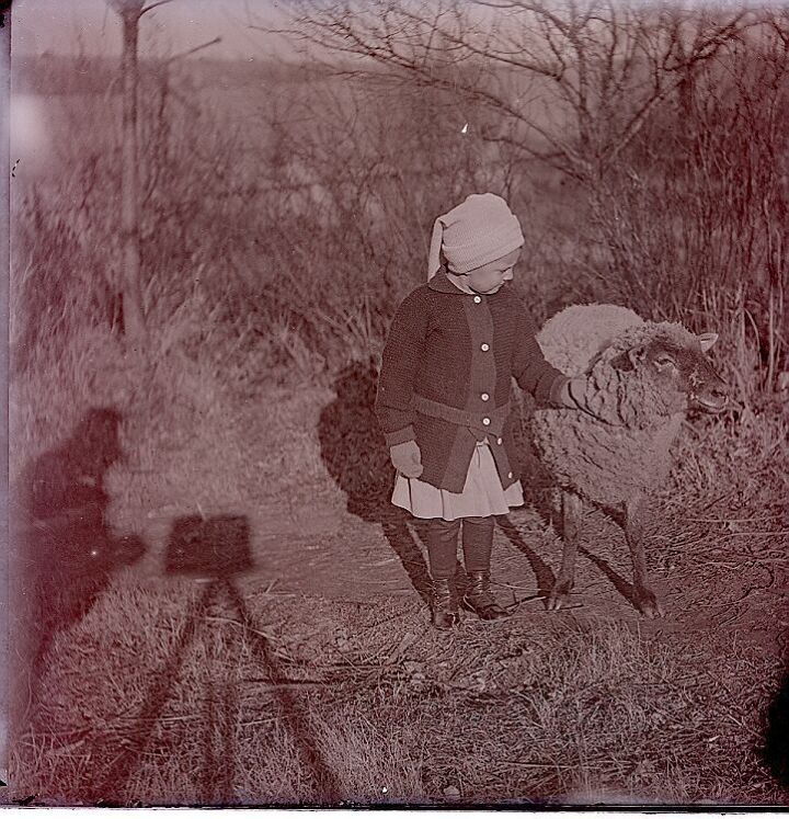 Girl with Sheep with Dirty Face