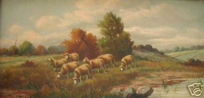 Grazing Sheep