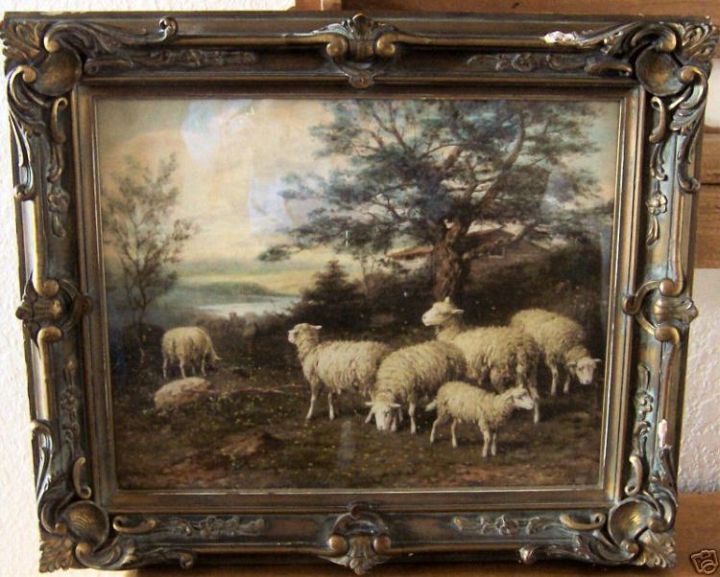 Great Old Sheep Picture