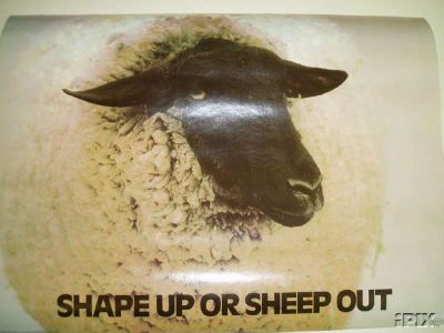 Great Sheep Poster