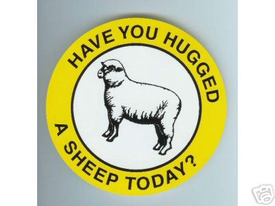 Have You Hugged a Sheep Today