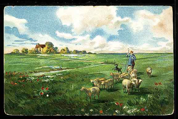 Herder Taking Sheep to Pasture