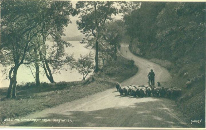 Herding the Sheep in Stybarrow Crag Ullswater 1912