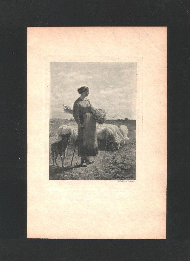 Hereau Shepherdess with Flock