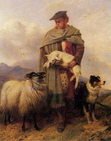 Highland Ewe Lamb Shepherd and BC