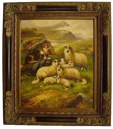 Highland Sheep and Dogs