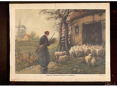 Holland Shepherdess and Sheep