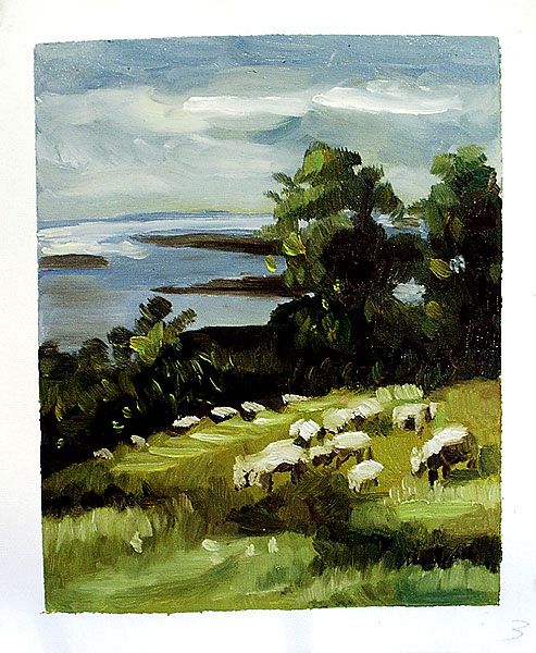 Impression Sheep Grazing