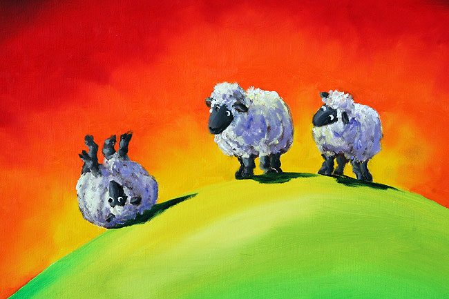 Inovative Sheep