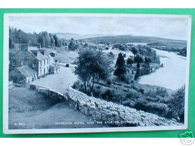 Invershin Lairg Sutherland Station Hotel Sheep