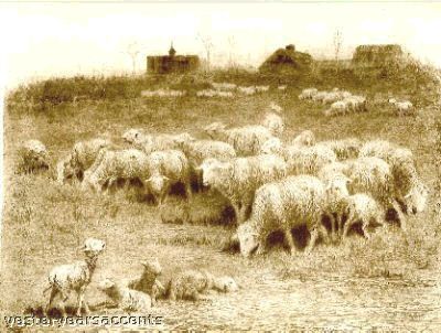 Jas Monks 18Th Century Engraving Sheep Grazing