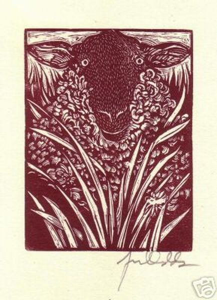 Jerry Dadds Signed Wood Engraving Print Sheep