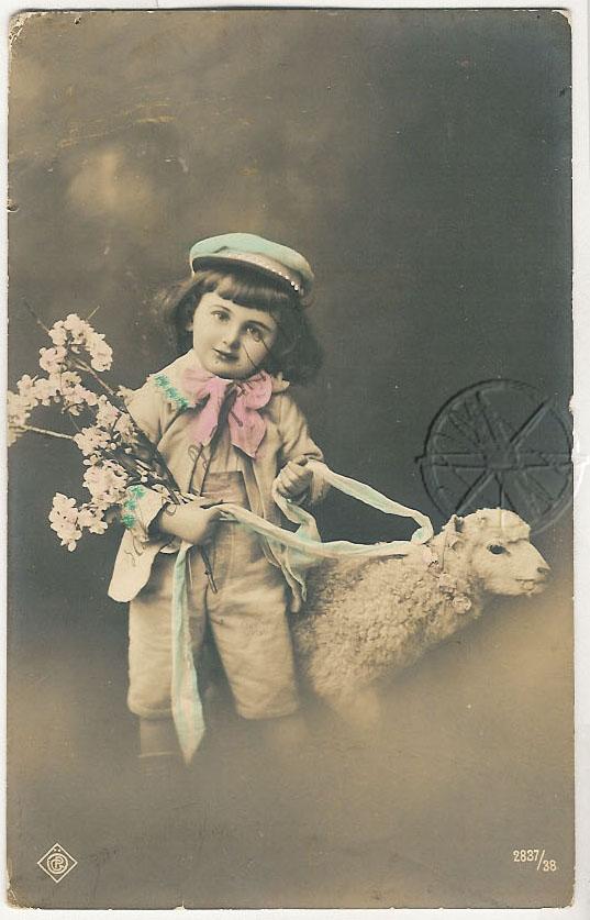 Lad with Lamb Sheep