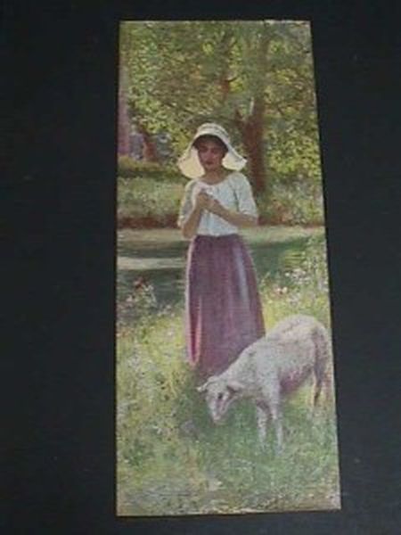 Lady and Sheep