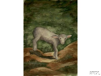 Lamb on the Rocks