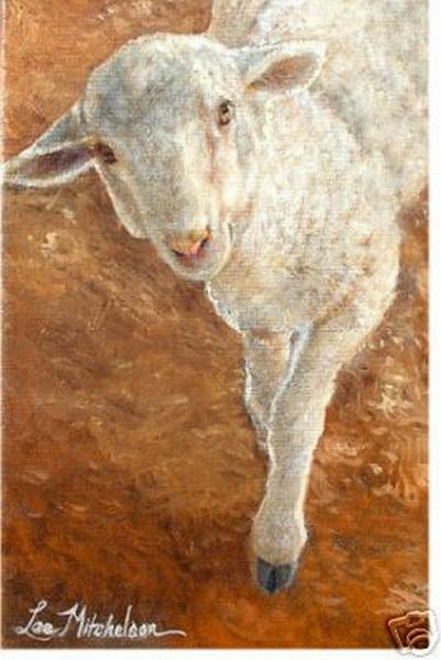 Lamb Sheep Art