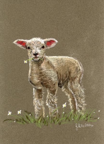 Lamb Sheep Original Pastel Painting Redstreake