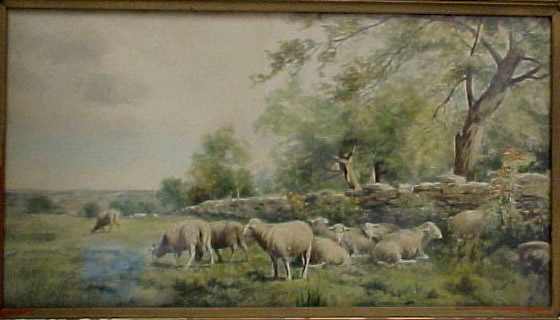 Landscape Sheep B